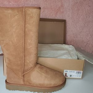 Ugg classic tall boots
